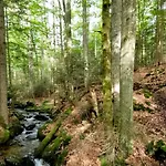 Schoenes 1 Zimmer, Sauna, Nationalpark, Free Parking * Lindberg