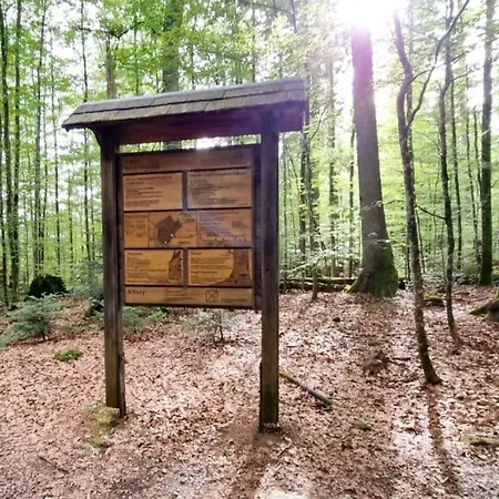 Tatil Evi Schoenes 1 Zimmer, Sauna, Nationalpark, Free Parking Lindberg